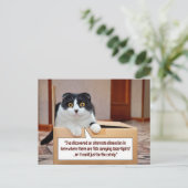 代替寸法 ポストカード (スタンド正面)