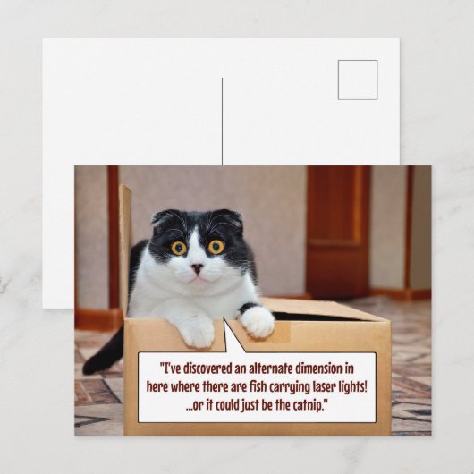 代替寸法 ポストカード (正面/裏面)