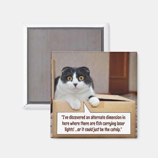 代替寸法 マグネット (正面/裏面)