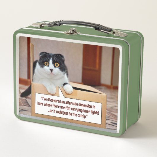 代替寸法 メタルランチボックス (正面)