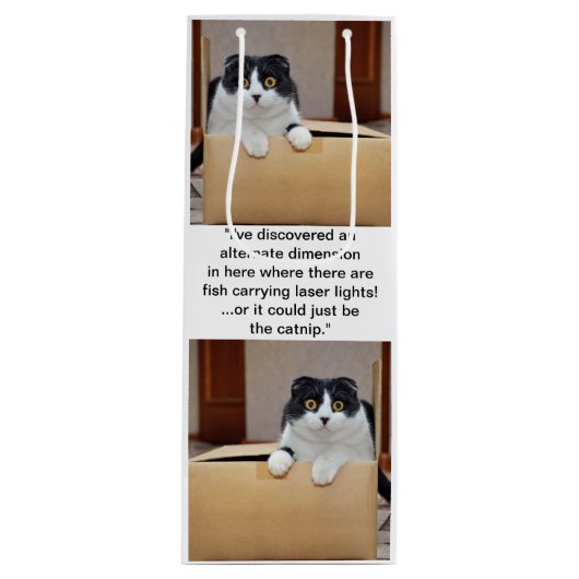 代替寸法 ワインギフトバッグ (正面)