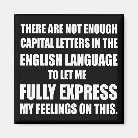 代替磁石：キャップが足りない マグネット (正面)