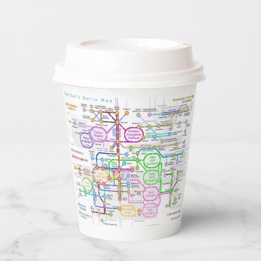 代謝経路 紙コップ (正面)