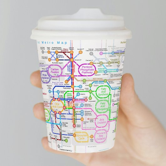 代謝経路 紙コップ