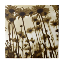 以下のデイジー