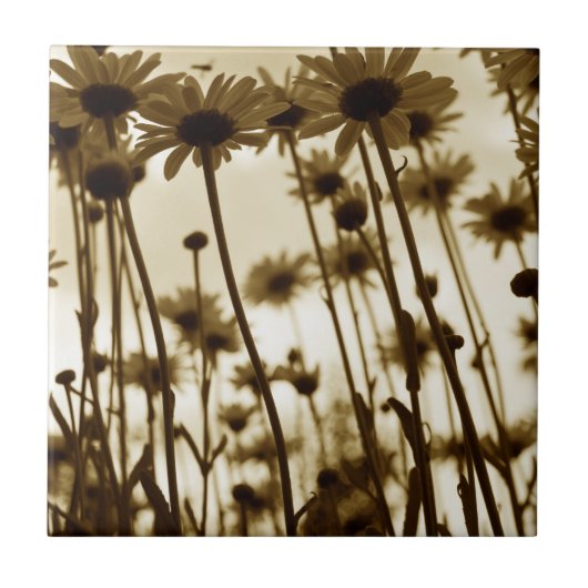 以下のデイジー タイル (正面)