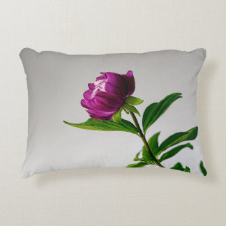 以下はピローコのクリエイティブタイトルアイディアをいくつか示す アクセントクッション