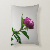 以下はピローコのクリエイティブタイトルアイディアをいくつか示す アクセントクッション (正面(垂直))