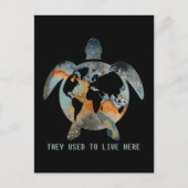 以前ここに住んでいたウミガメの愛人 ポストカード (正面)