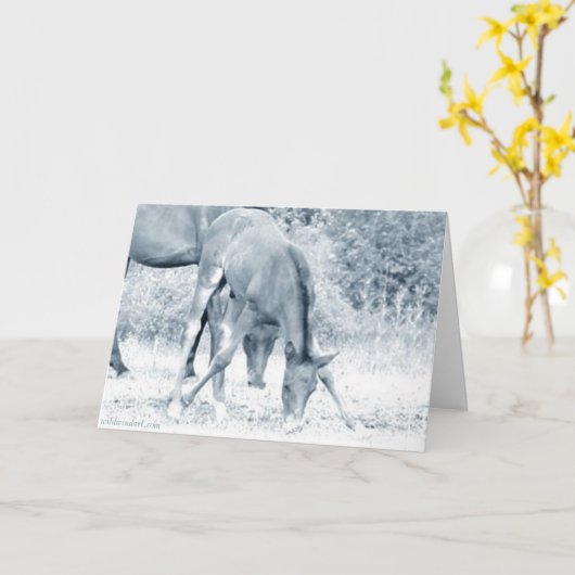 仮のグリーティングカード_やる気を起こさせる カード (黄色い花)