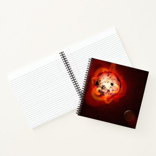 仮想外惑星によって周回した赤色矮星 ノートブック (内部)