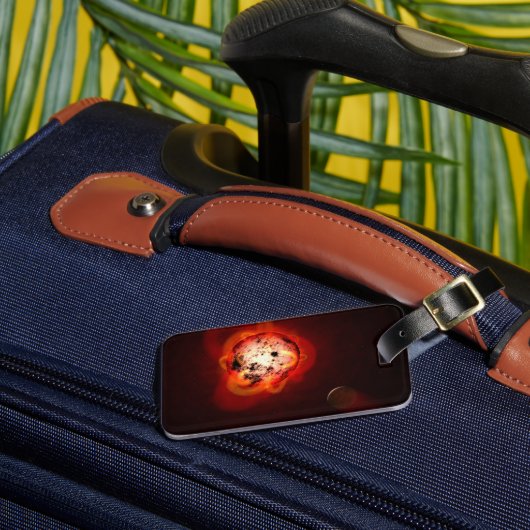 仮想外惑星によって周回した赤色矮星 ラゲッジタグ (正面インサイチュ3)