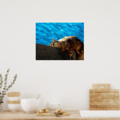 仮眠魚釣り ポスター (キッチン)