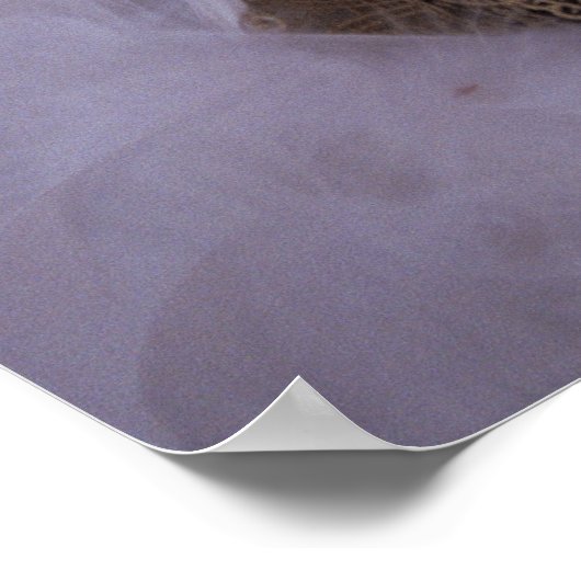 仮装 ポスター (角)