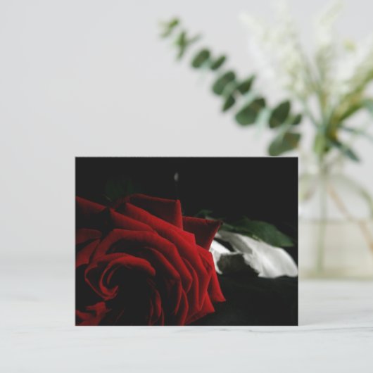 仮装 ポストカード (スタンド正面)