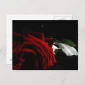 仮装 ポストカード (正面/裏面)