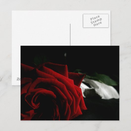 仮装 ポストカード (正面/裏面)