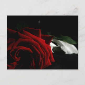 仮装 ポストカード