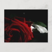 仮装 ポストカード (正面)