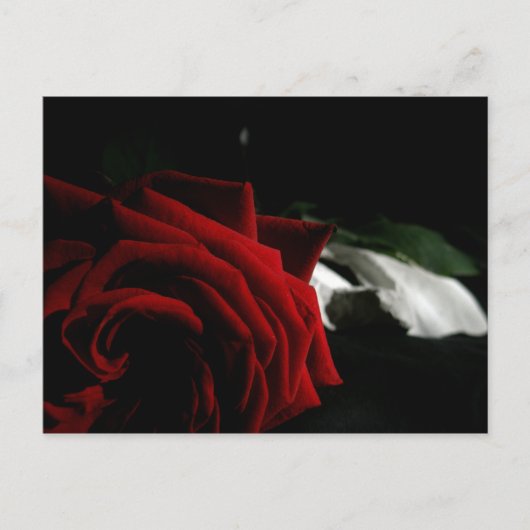 仮装 ポストカード (正面)