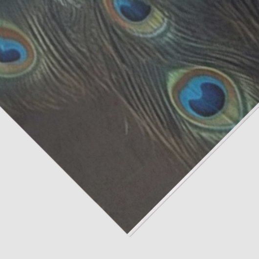 仮装 薄葉紙 (詳細)