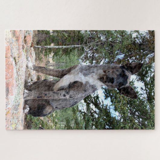 仮面の獣毛犬がシーンを観察 ジグソーパズル (横)