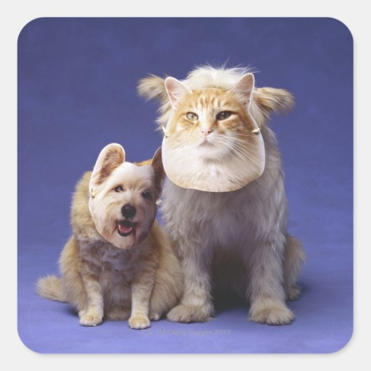 仮面を付けた犬と猫 スクエアシール (正面)