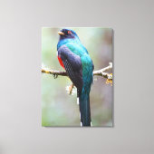 仮面トゴン キャンバスプリント (正面)