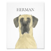 仮面パーソナライズされたの大きなダン犬アート フォトプリント (正面)