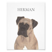 仮面パーソナライズされたボクサー フォトプリント            (正面)