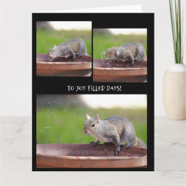 仲間からの引退する squirrel へのユーモアたっぷりのメッセージ カード