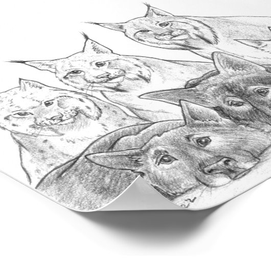 仲間 ポスター (角)