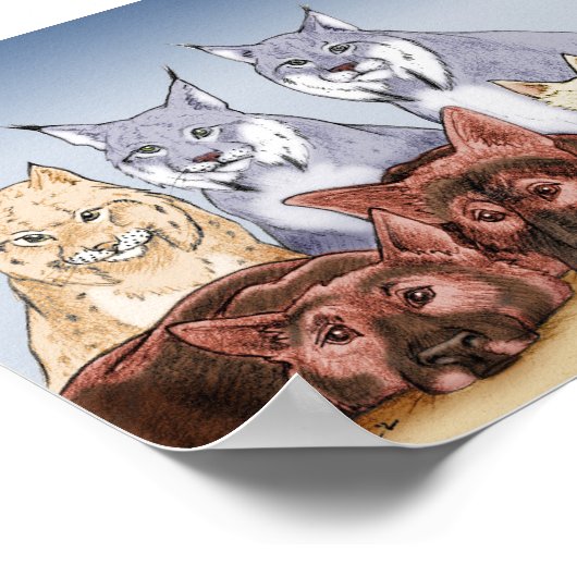 仲間 – 色付き ポスター (角)