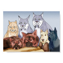 仲間 – 色付き