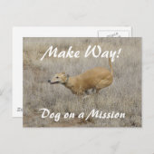 任務に就いた犬 ポストカード (正面/裏面)