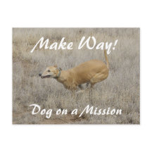 任務に就いた犬