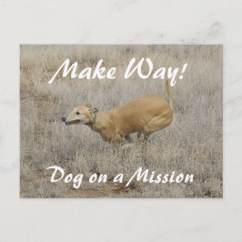 任務に就いた犬 ポストカード