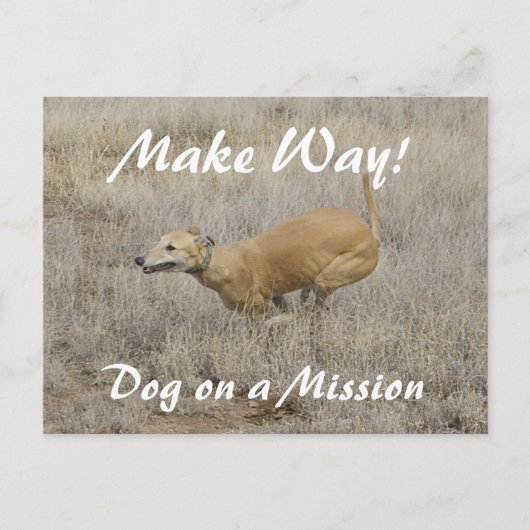 任務に就いた犬 ポストカード (正面)