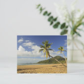 任務ビーチ ポストカード (スタンド正面)