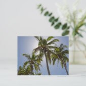 任務ビーチ ポストカード (スタンド正面)