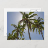 任務ビーチ ポストカード (正面/裏面)