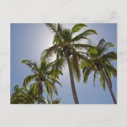 任務ビーチ ポストカード (正面)