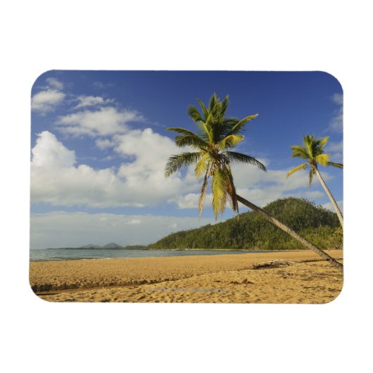 任務ビーチ マグネット (横)