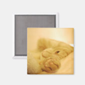 任命 マグネット (正面/裏面)