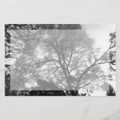 任意のイベント景観フライヤー チラシ (裏面)