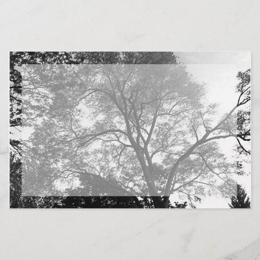 任意のイベント風光明媚なチラシ チラシ (裏面)