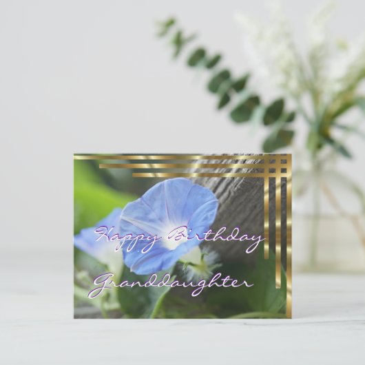 任意の大事な行事用の朝顔はがきカスタマイズ- ポストカード (スタンド正面)