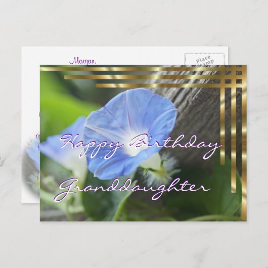 任意の大事な行事用の朝顔はがきカスタマイズ-  ポストカード (正面/裏面)