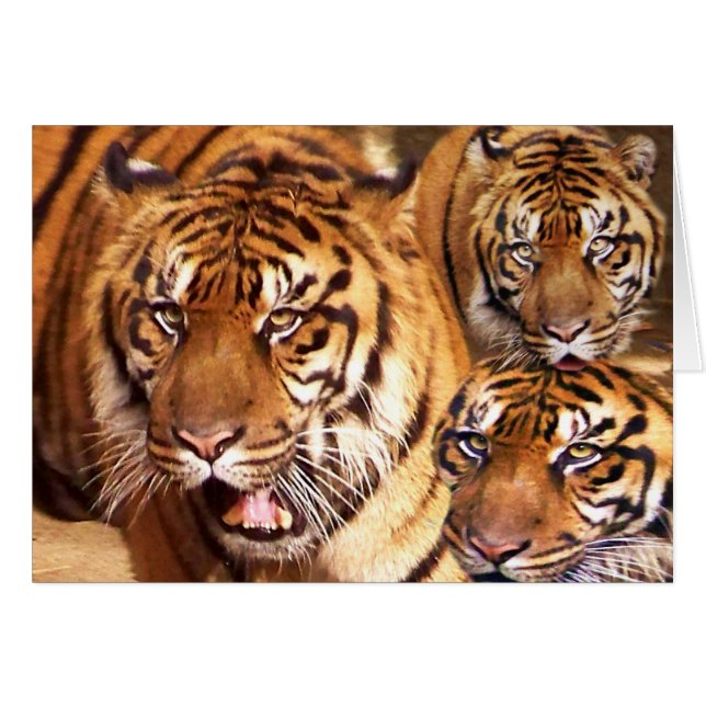 任意の大事な行事_カード (正面横)