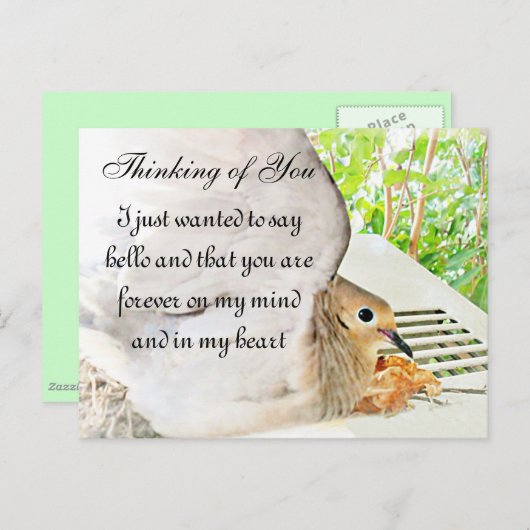 任意の大事な行事_ ポストカード (正面/裏面)